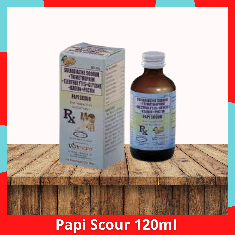 64863e88738a7c2a3efc563e43f803e1f5a2_1749262165738-1.jpg Papi Scour Oral Suspension 60mL - Image 1