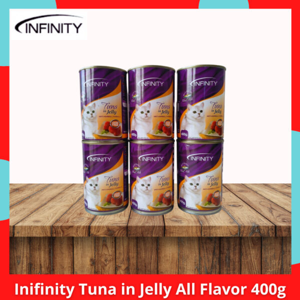 Infinity Cat Food Tuna in Jelly Canned 400g