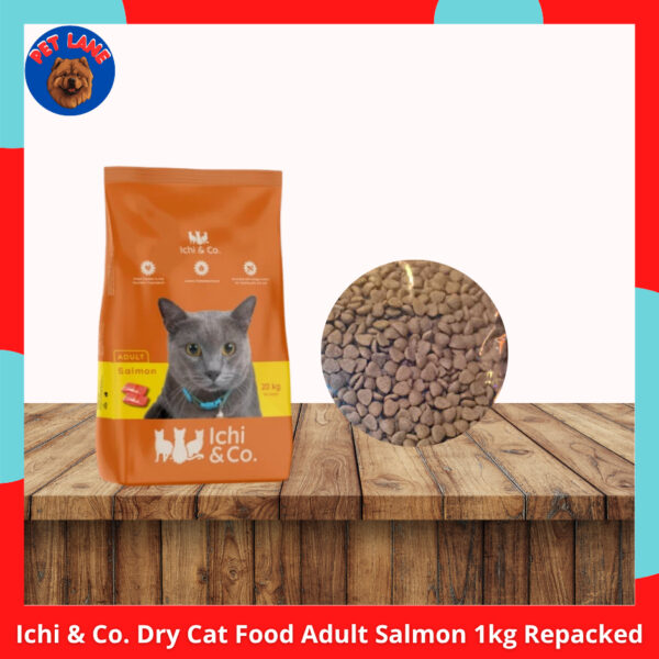 Ichi & Co Cat Dry Food Adult & Kitten Salmon 1kg Repacked