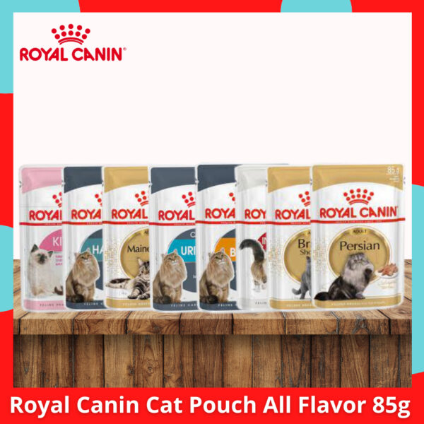 Royal Canin Cat Wet Pouch 85g | Intense Beauty Instinctive Kitten Adult Urinary Hairball Maine Coon
