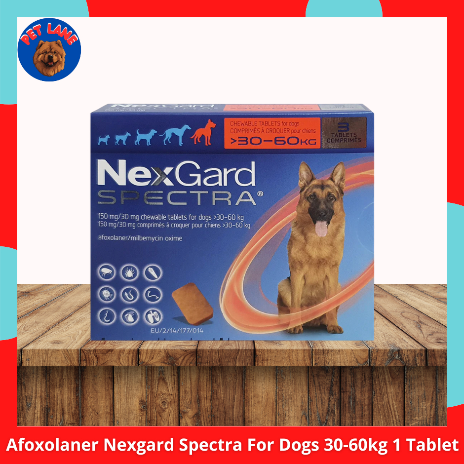 87917a513ae96bac8eb1a58d6a046a0122cf_1759488589935.jpg Nexgard/Spectra For Dog & Cat Chewable Tablets Anti Tick and Flea - Image 1